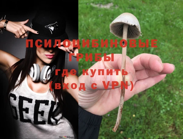 молекула духа Абинск