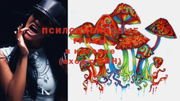 стаф Абдулино