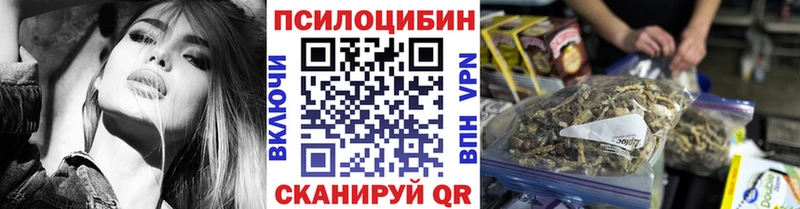 Галлюциногенные грибы Psilocybe  цены наркотик  Электросталь 