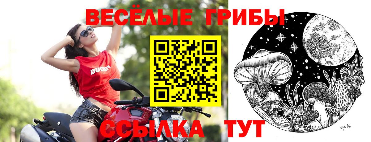 Псилоцибиновые грибы прущие грибы Электросталь