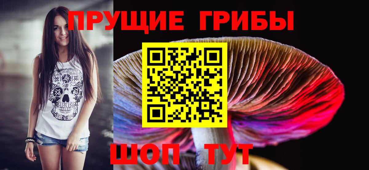 Псилоцибиновые грибы MAGIC MUSHROOMS  Вход с VPN  Электросталь 